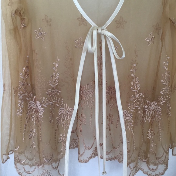 Sheer Embroidered Tan Robe - Picture 3 of 4